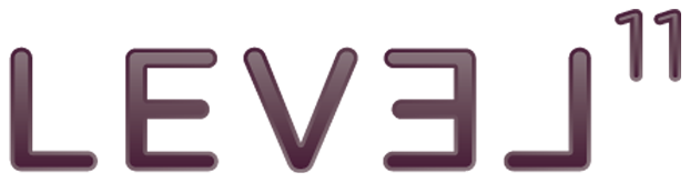 Level 11